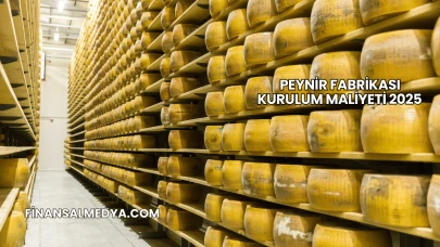 Peynir Fabrikası Kurulum Maliyeti 2025