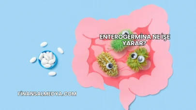 Enterogermina Ne İşe Yarar?