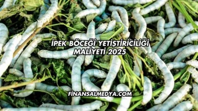 İpek Böceği Yetiştiriciliği Maliyeti 2025