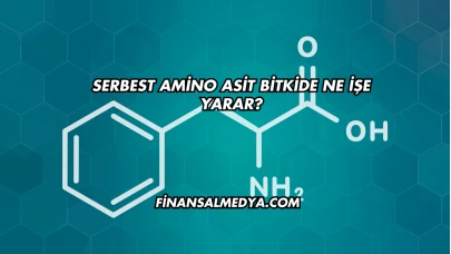 Serbest Amino Asit Bitkide Ne İşe Yarar?