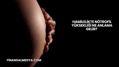 Hamilelikte Nötrofil Yüksekliği Ne Anlama Gelir?