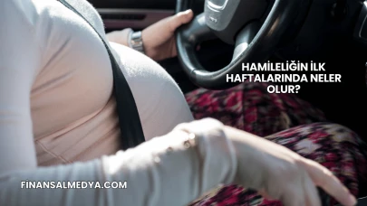 Hamileliğin İlk Haftalarında Neler Olur?