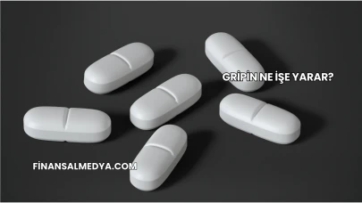 Gripin Ne İşe Yarar?