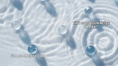 Tip 1 Collagen Ne İşe Yarar?