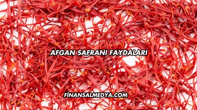 Afgan Safranı Faydaları