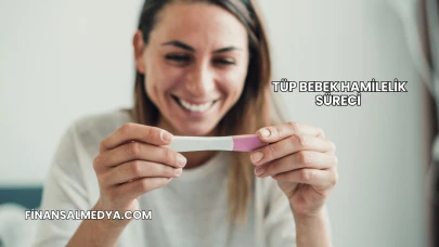 Tüp Bebek Hamilelik Süreci