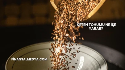Keten Tohumu Ne İşe Yarar?