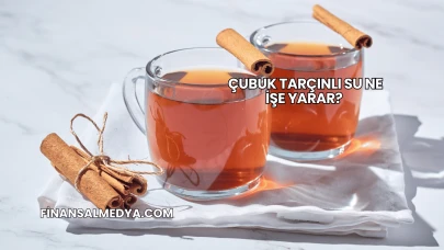 Çubuk Tarçınlı Su Ne İşe Yarar?