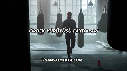 Ördek Yürüyüşü Faydaları