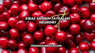 Kiraz Sapının Faydaları Nelerdir?