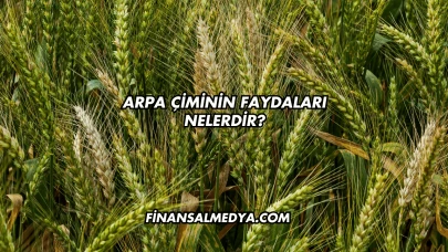 Arpa Çiminin Faydaları Nelerdir?