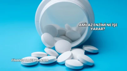Amilaz Enzimi Ne İşe Yarar?