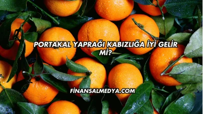 Portakal Yaprağı Kabızlığa İyi Gelir mi?