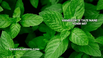 Hamilelikte Taze Nane Yenir mi?