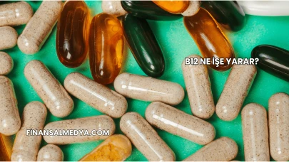 B12 Ne İşe Yarar?