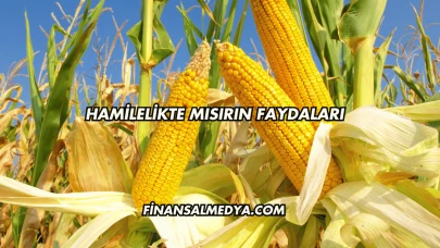 Hamilelikte Mısırın Faydaları