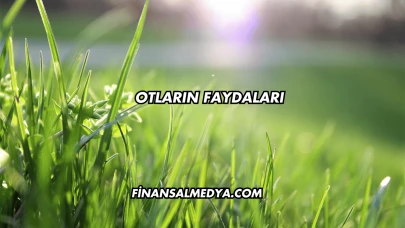 Otların Faydaları