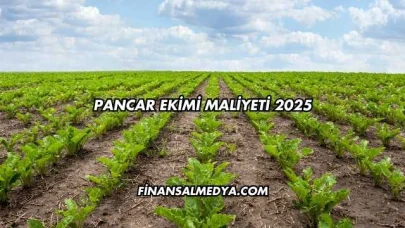 Pancar Ekimi Maliyeti 2025