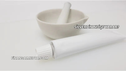 Silverdin Ne İşe Yarar?