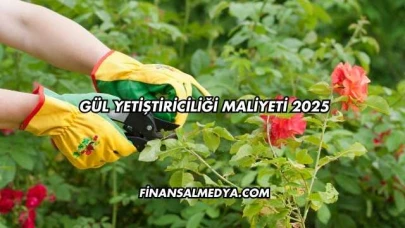 Gül Yetiştiriciliği Maliyeti 2025