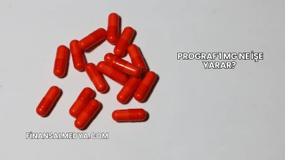 Prograf 1 Mg Ne İşe Yarar?