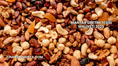Mantar Üretim Tesisi Maliyeti 2025
