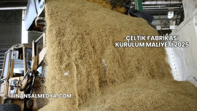 Çeltik Fabrikası Kurulum Maliyeti 2025