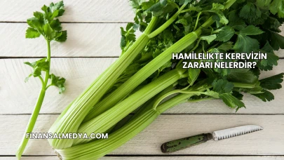 Hamilelikte Kerevizin Zararı Nelerdir?