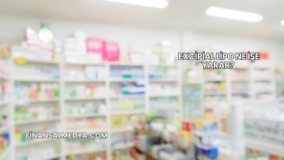 Excipial Lipo Ne İşe Yarar?