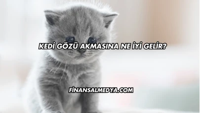 Kedi Gözü Akmasına Ne İyi Gelir?