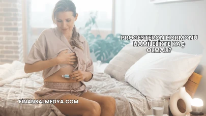 Progesteron Hormonu Hamilelikte Kaç Olmalı?