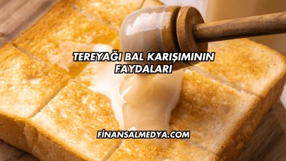Tereyağı Bal Karışımının Faydaları