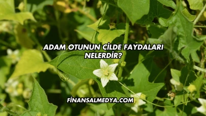 Adam Otunun Cilde Faydaları Nelerdir?