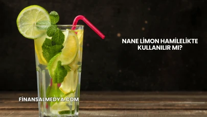 Nane Limon Hamilelikte Kullanılır mı?