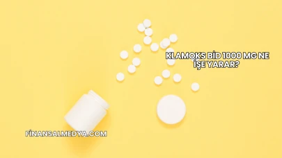 Klamoks Bid 1000 Mg Ne İşe Yarar?