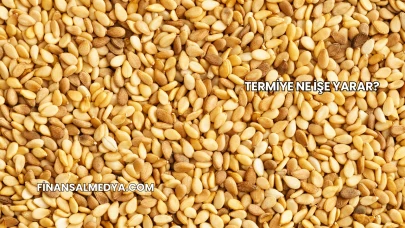 Termiye Ne İşe Yarar?