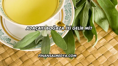 Adaçayı Boğaza İyi Gelir mi?
