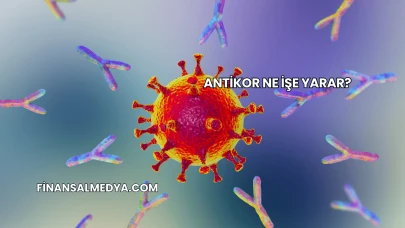 Antikor Ne İşe Yarar?