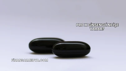 Pro X Ginsengli Ne İşe Yarar?