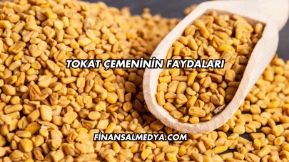 Tokat Çemeninin Faydaları