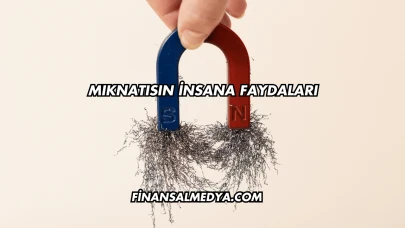 Mıknatısın İnsana Faydaları