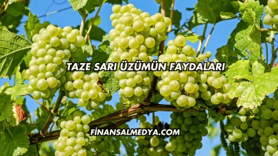 Taze Sarı Üzümün Faydaları