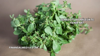 Semizotu Hamilelikte Yenir mi?