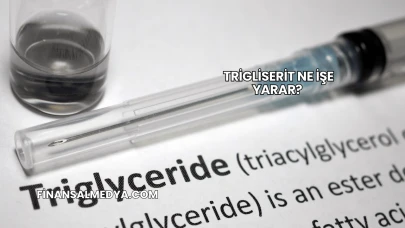 Trigliserit Ne İşe Yarar?