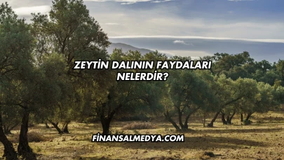 Zeytin Dalının Faydaları Nelerdir?