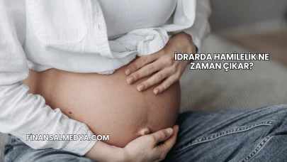 İdrarda Hamilelik Ne Zaman Çıkar?
