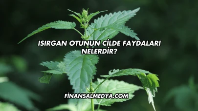 Isırgan Otunun Cilde Faydaları Nelerdir?