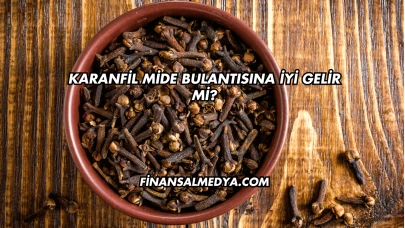 Karanfil Mide Bulantısına İyi Gelir mi?