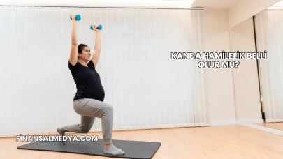 Kanda Hamilelik Belli Olur mu?