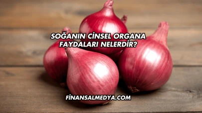 Soğanın Cinsel Organa Faydaları Nelerdir?